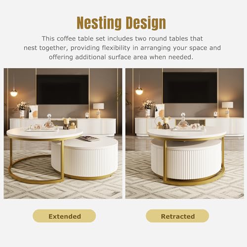 Round Nesting Coffee Table Set of 2 with Storage Drawer White R252238