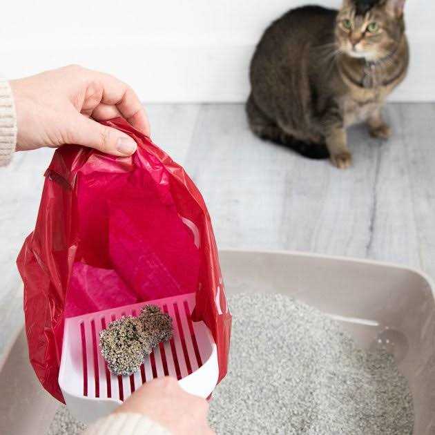 Lavender Scented Pet Waste Disposal Bags L12433