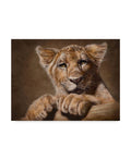 Lion Cub Canvas Art 18x24 T196346