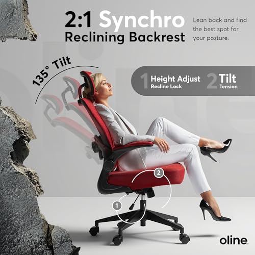 Black Ergonomic Mesh Office Chair S841