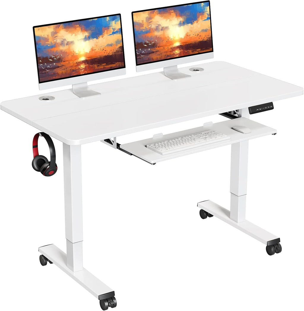 Electric Standing Desk Adjustable Height 48x24 in with Memory Controller N7445