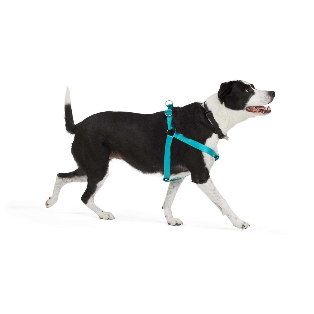 Dog Harness W3392
