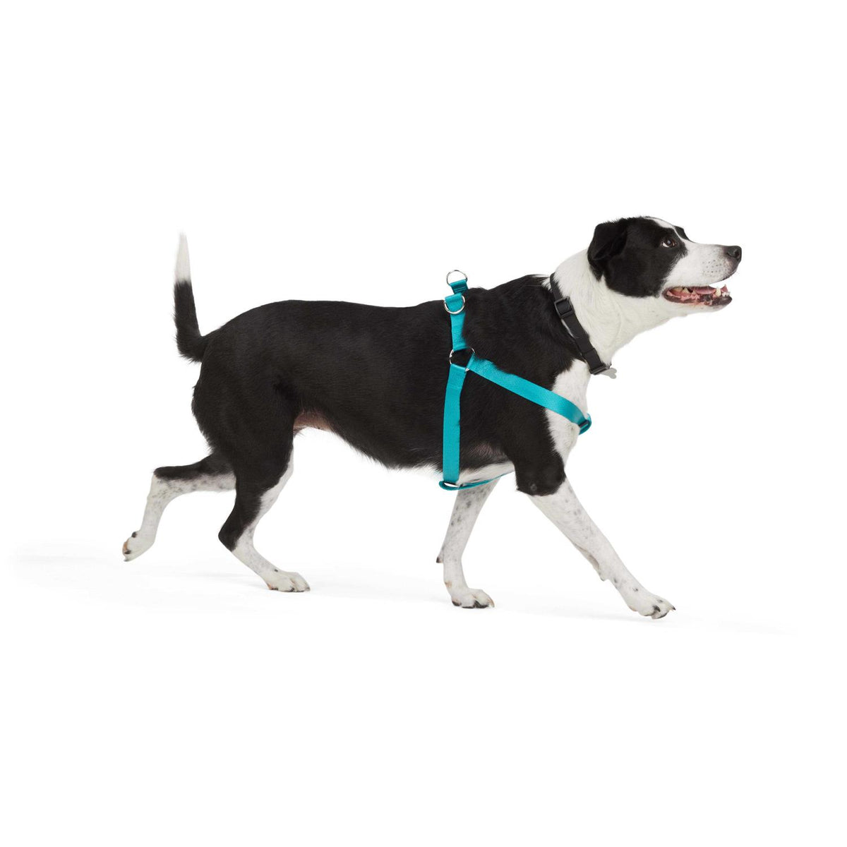 Dog Harness W3392