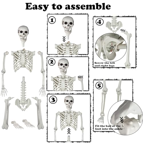 5.9ft Halloween Life Size Skeleton Plastic Human Bones with Movable Joints C636497