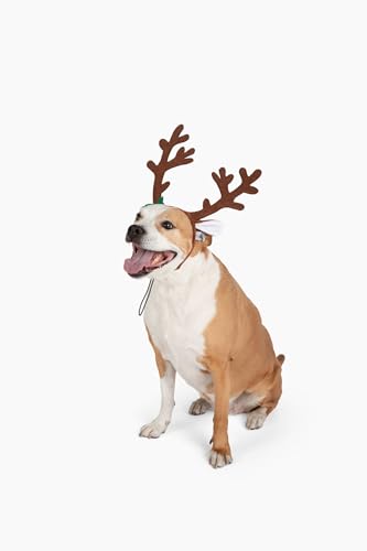 Brown Reindeer Dog Antlers Headband Pet Christmas Costume J792990
