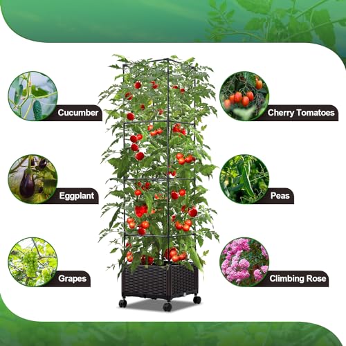 63" Large Metal Raised Garden Bed Planter Box with Trellis and Wheels V888