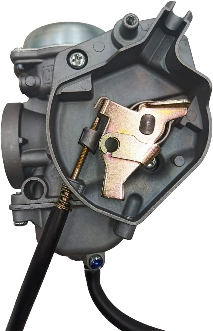 Carburetor with Petcock Fuel Tank Switch Valve F740711
