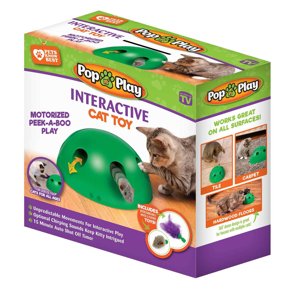 Cat Toy U243947