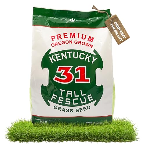 Kentucky 31 Tall Fescue Grass Seed 5 lb Bag D1073