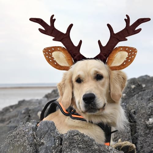 Dog Cat Christmas Reindeer Antlers Headband Adjustable Pet Costume V630038