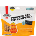Freeze-Dried Chicken Dog Treats R1254