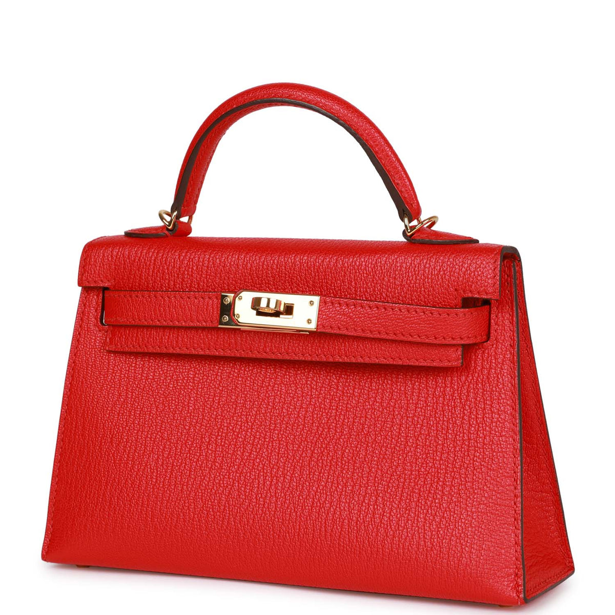 Pre-owned Chevre Mysore Handbag D85590