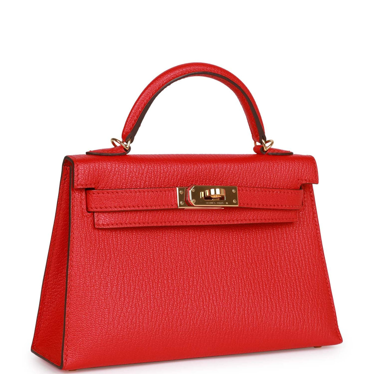 Pre-owned Chevre Mysore Handbag D85590