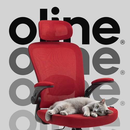 Black Ergonomic Mesh Office Chair S841