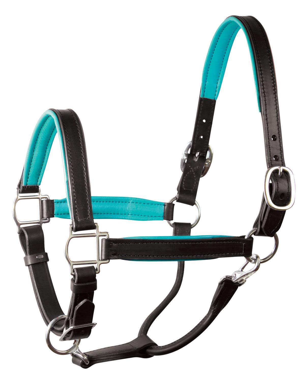 Soft Padded Leather Horse Halter L2461
