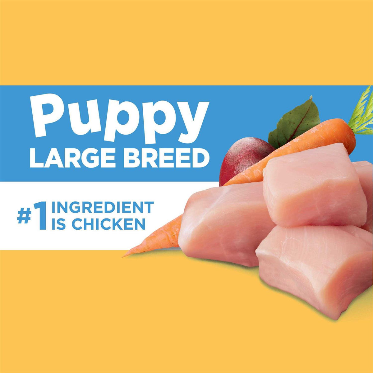 Chicken Puppy Dry Dog Food V675166
