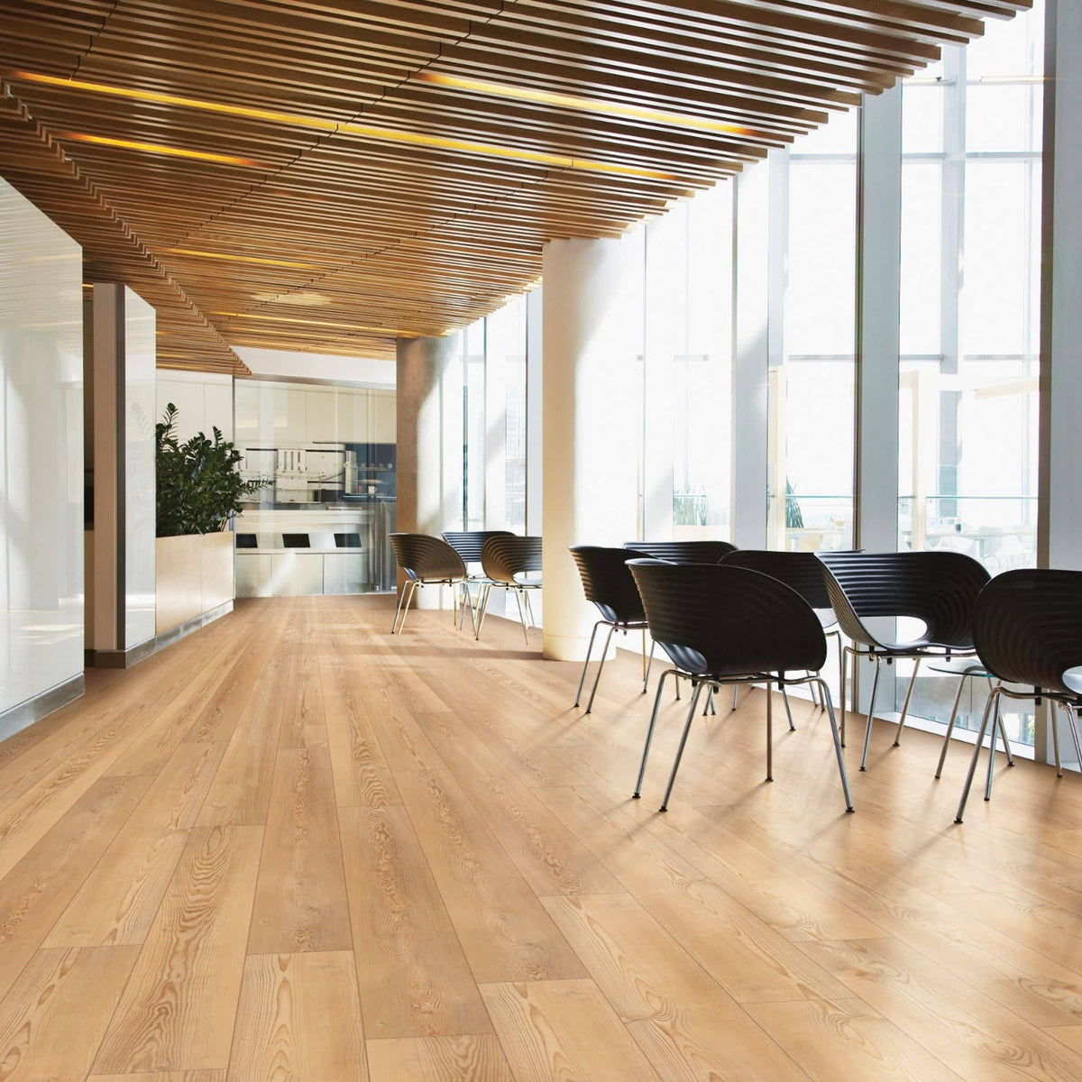Capetown Maple Wide Embossed Flooring B3177