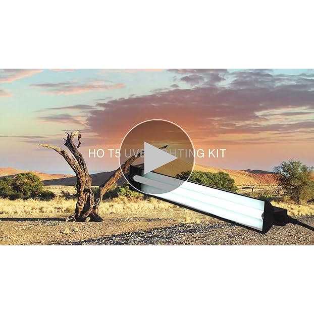 T5 HO UVB Lighting Combo Kit D937129