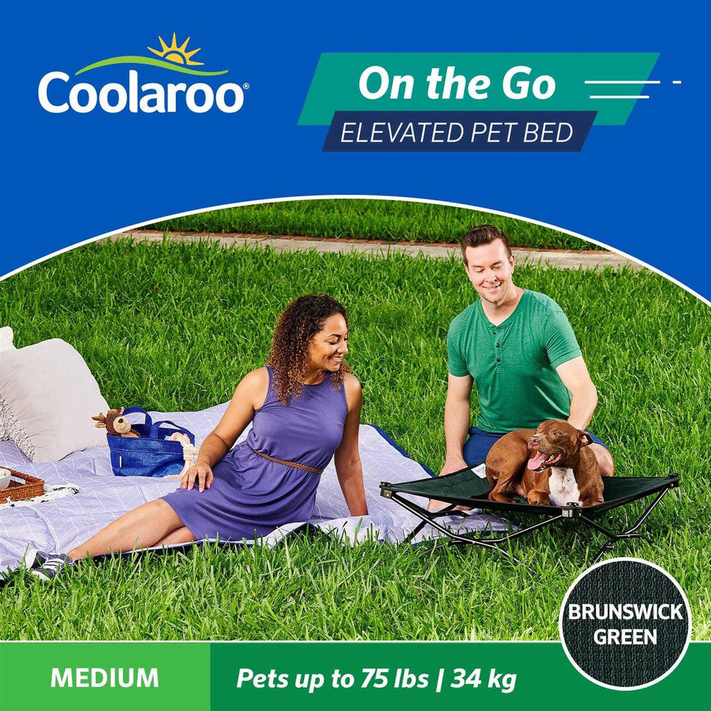 Elevated Pet Bed N771199
