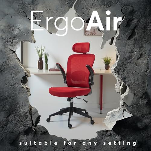 Black Ergonomic Mesh Office Chair S841