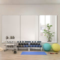 Wall Mounted Activity Mirror with Flat Polished Edge 47x32-2pcs X6770