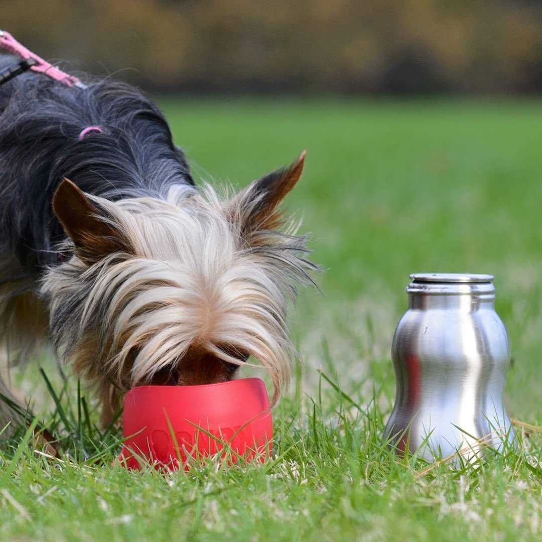 Stainless Steel Dog Water Bottle U527634