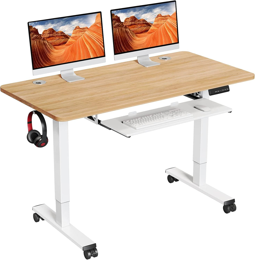 Electric Standing Desk Adjustable Height 48x24 in with Memory Controller N7445