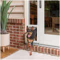 Sliding Glass Pet Door P841