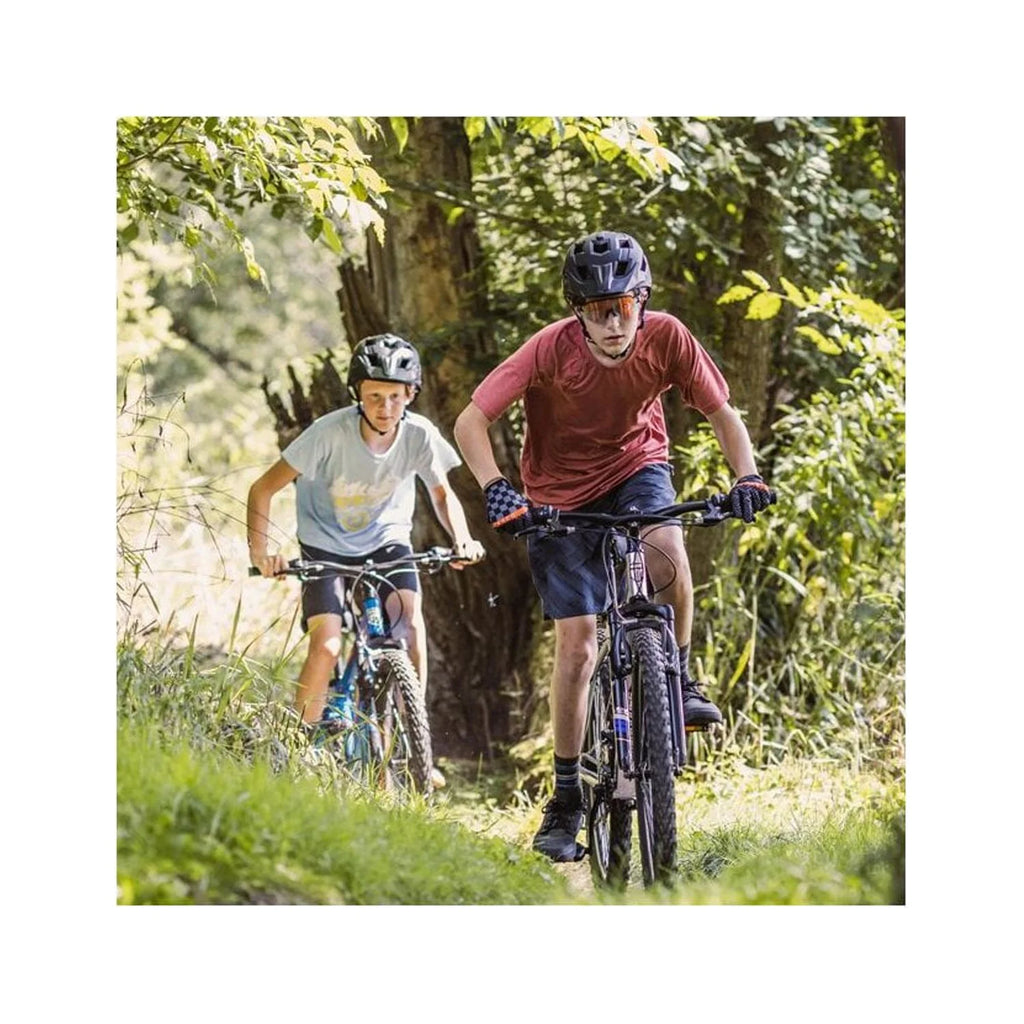 21 Speeds Adult Mountain Bike S3698