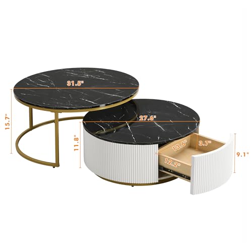 Round Nesting Coffee Table Set of 2 with Storage Drawer White R252238