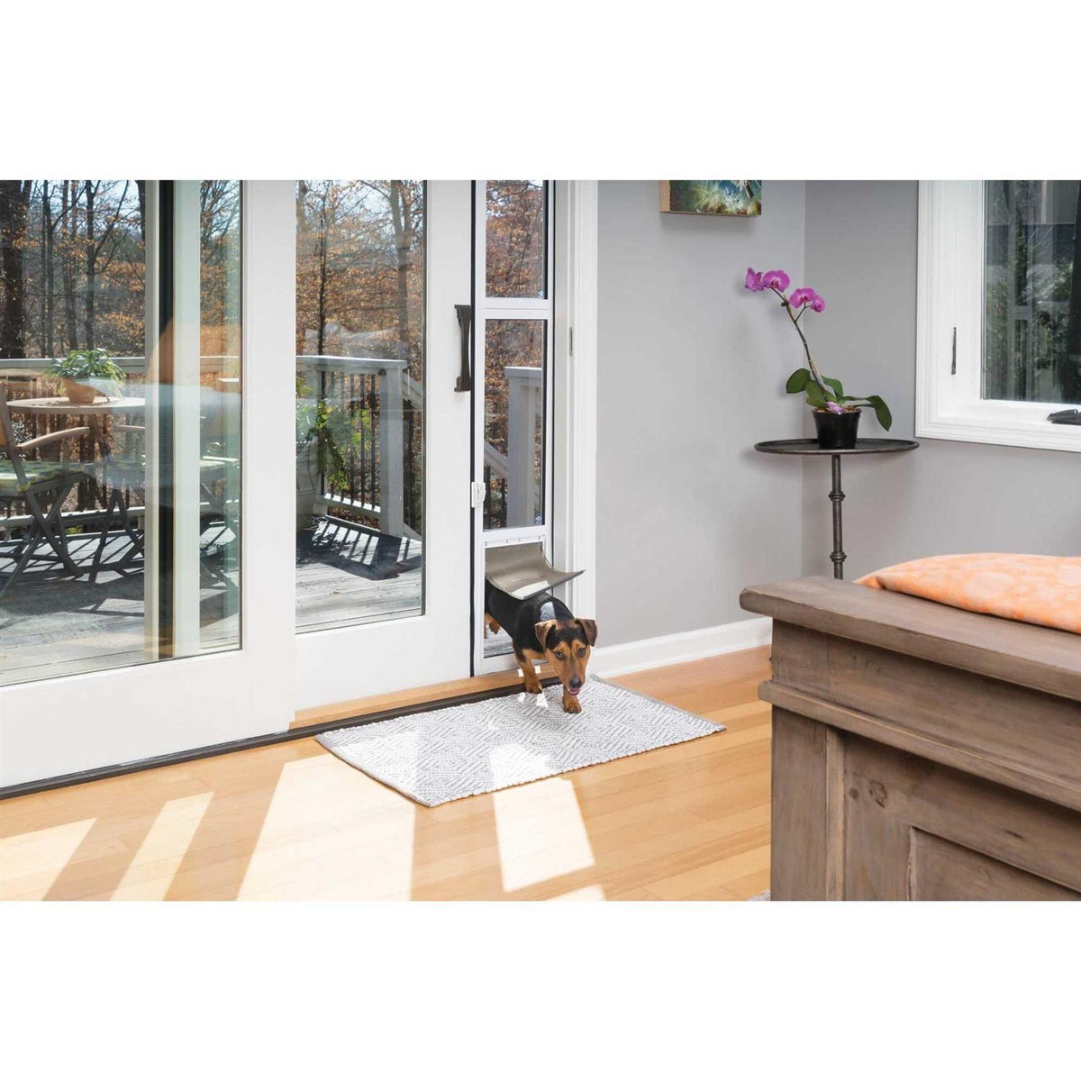 Sliding Glass Pet Door P841