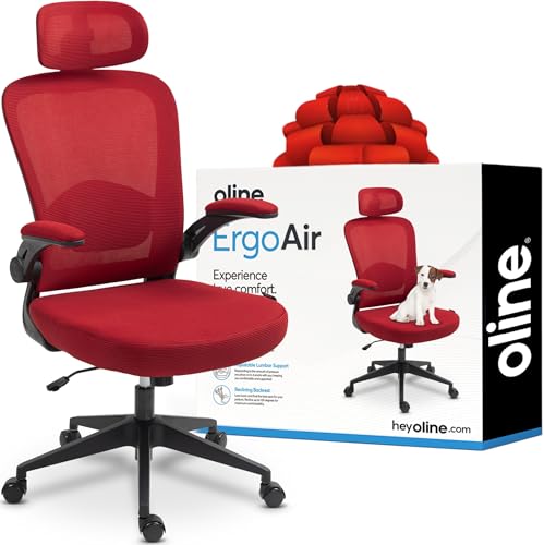 Black Ergonomic Mesh Office Chair S841