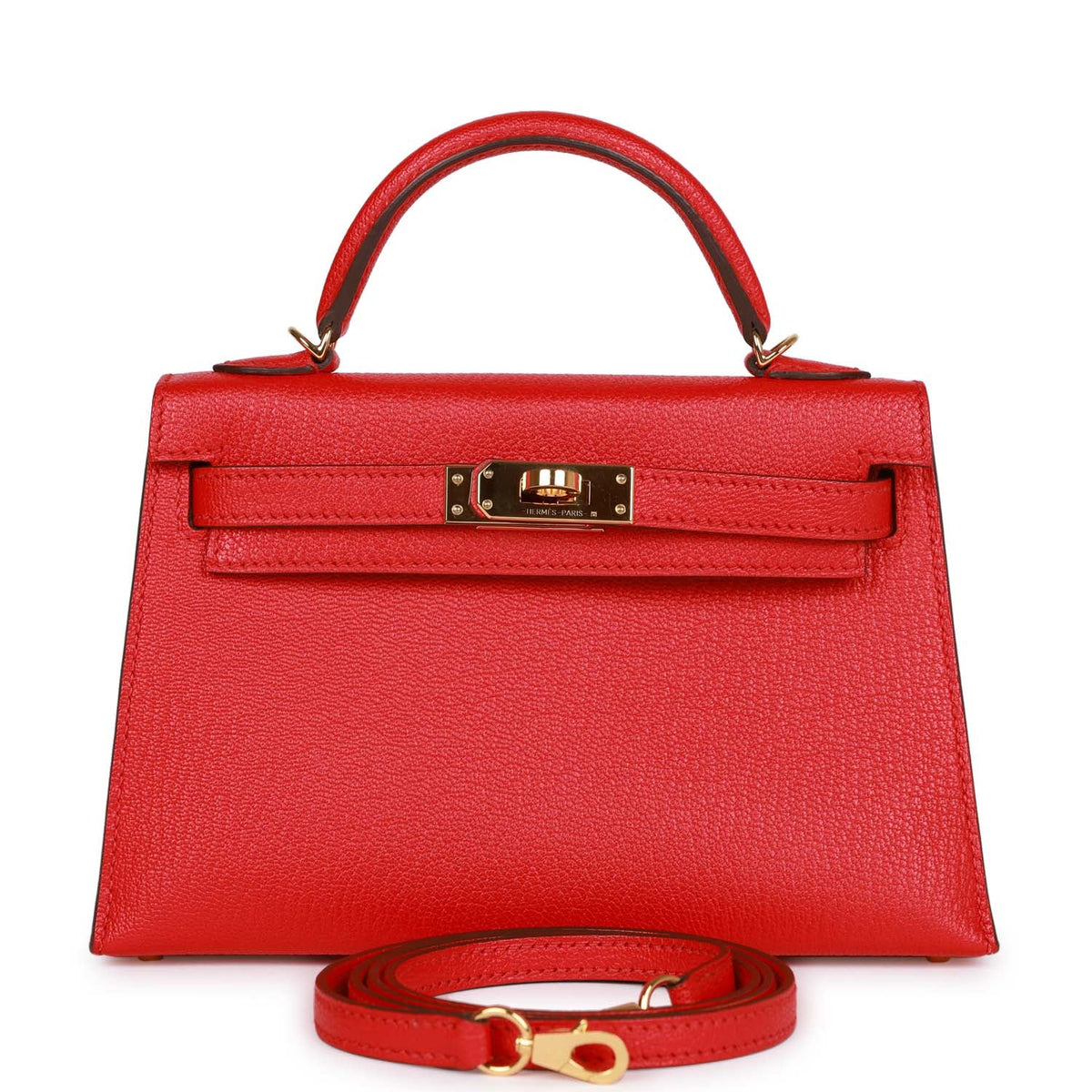 Pre-owned Chevre Mysore Handbag D85590