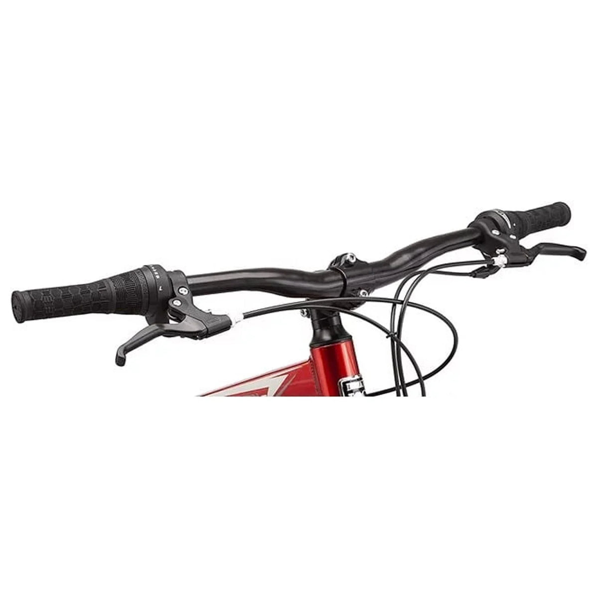 21 Speeds Adult Mountain Bike S3698