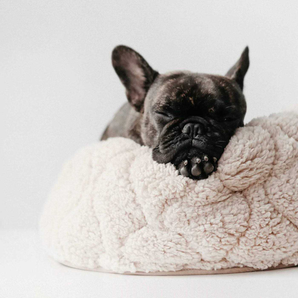 Reversible Donut Pet Bed P557