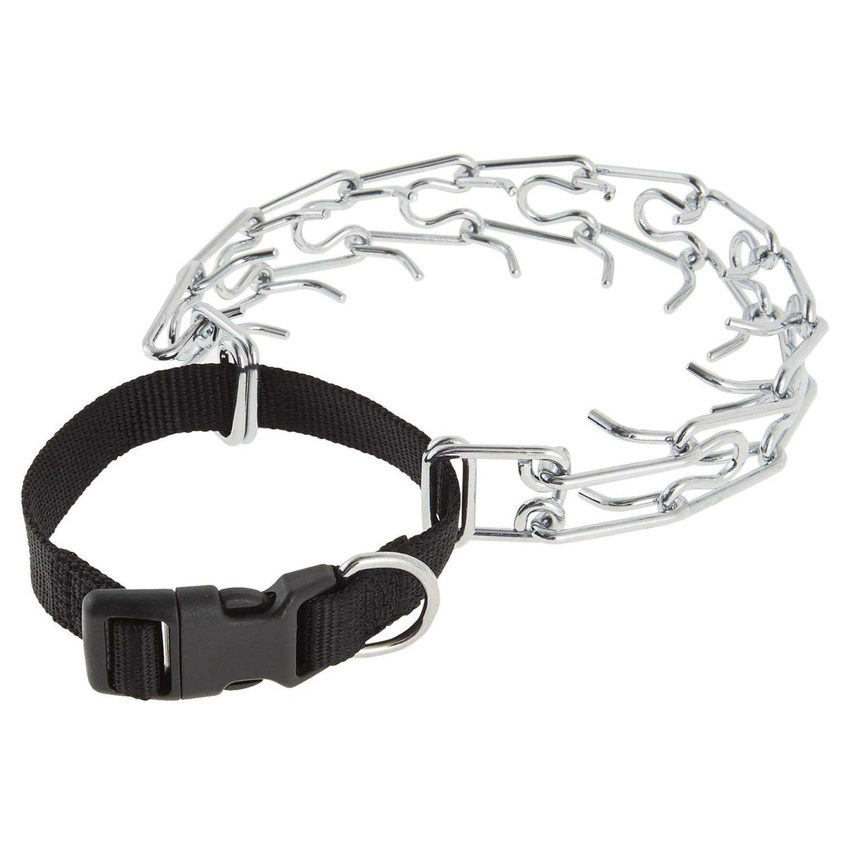 Buckle Prong Training Dog Collar O597