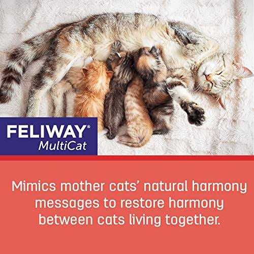 Multicat 3-Pack Refill C312891